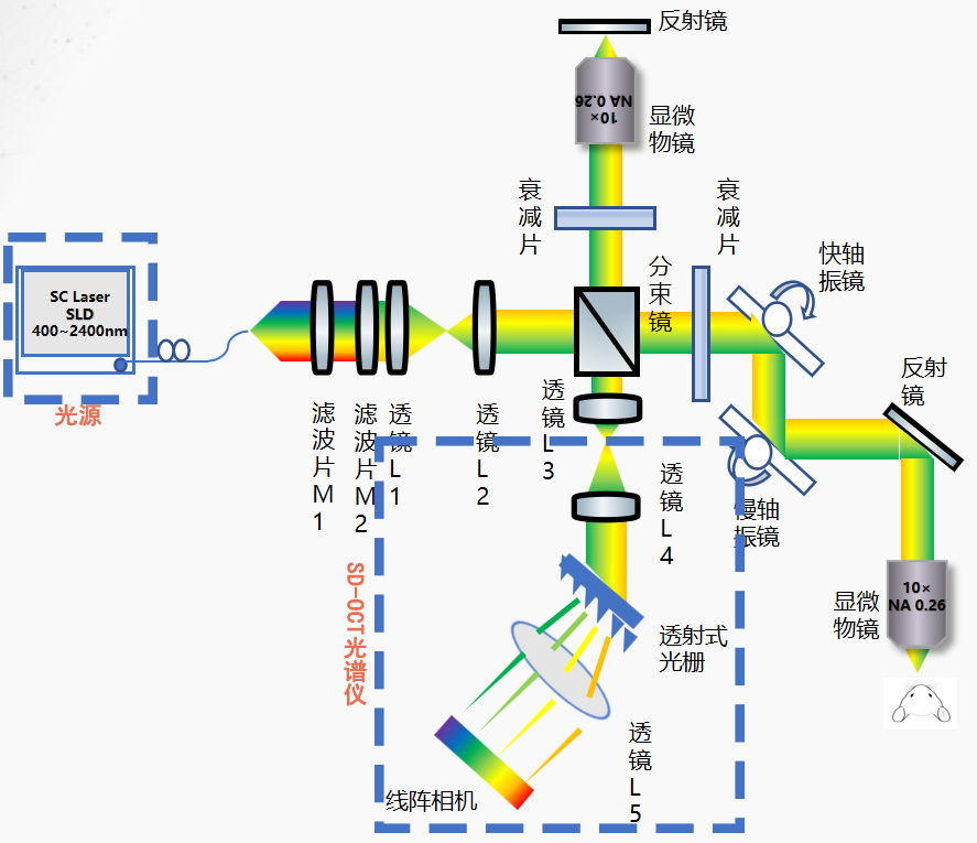 SD-OCT光谱仪光路图.png