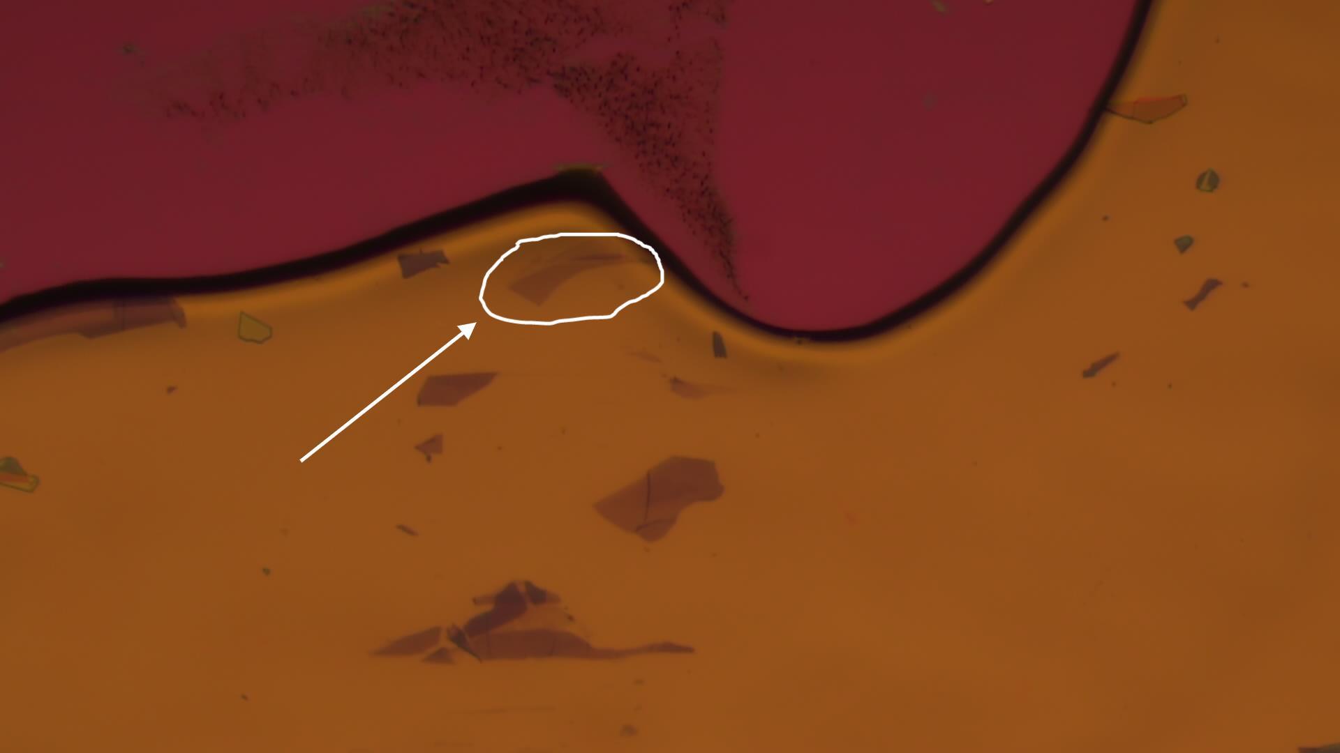 二维材料转移应用之双层石墨烯异质结的构建